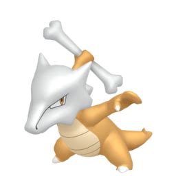 marowak gen 3.